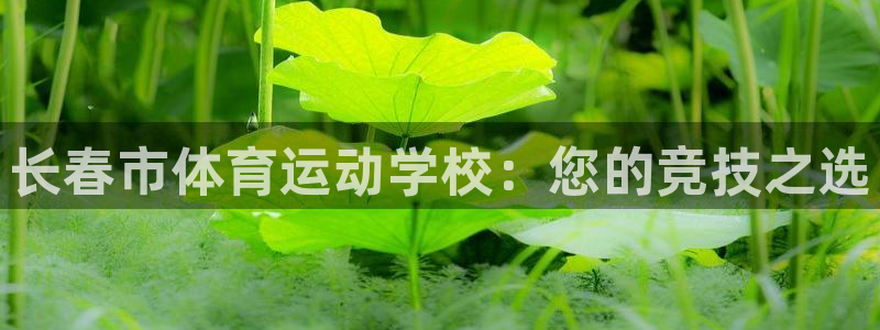 利记官网下载软件:长春市体育运动学校:您的竞技之选