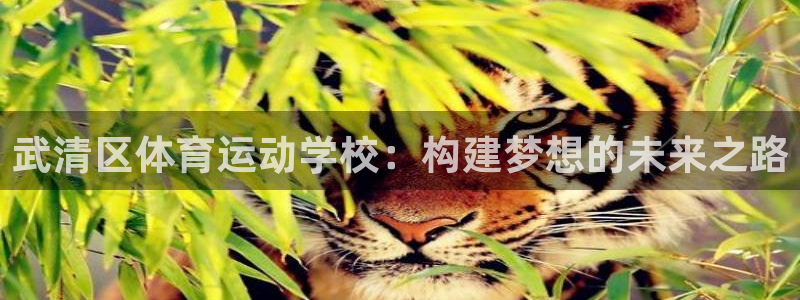 利记官网下载平台假的吗是真的吗吗:武清区体育运动学校:构建梦